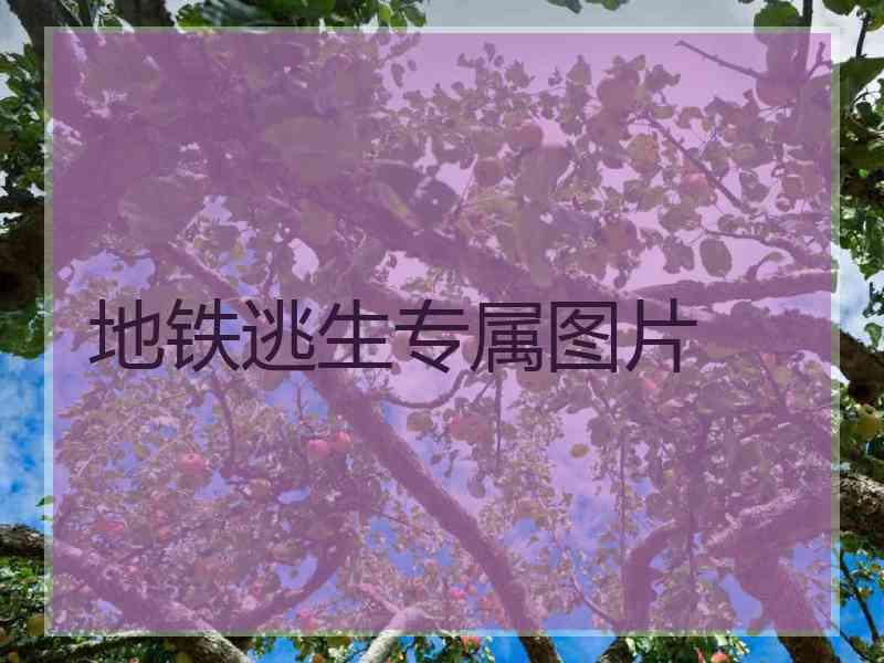 地铁逃生专属图片