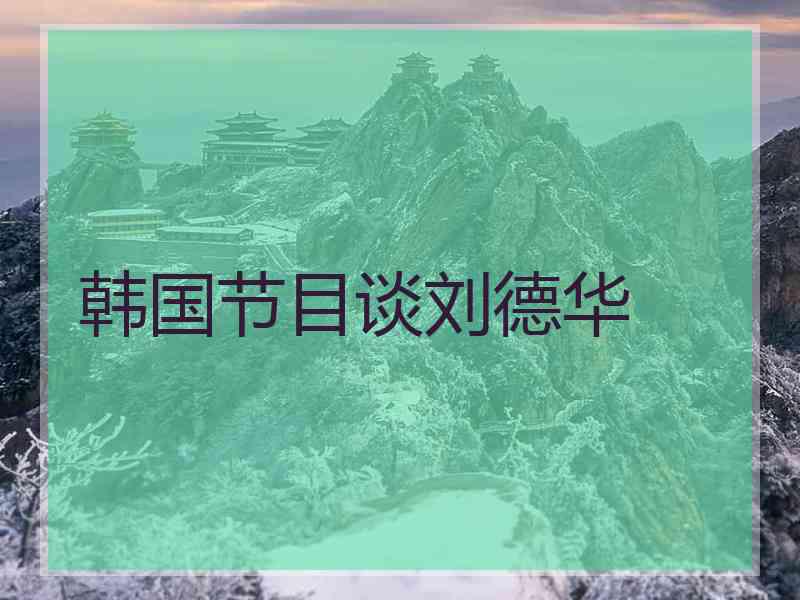 韩国节目谈刘德华