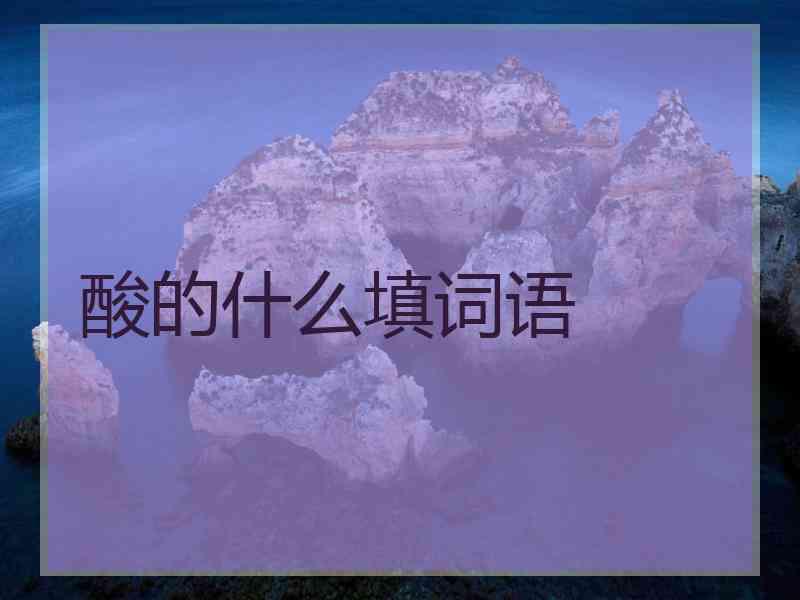 酸的什么填词语