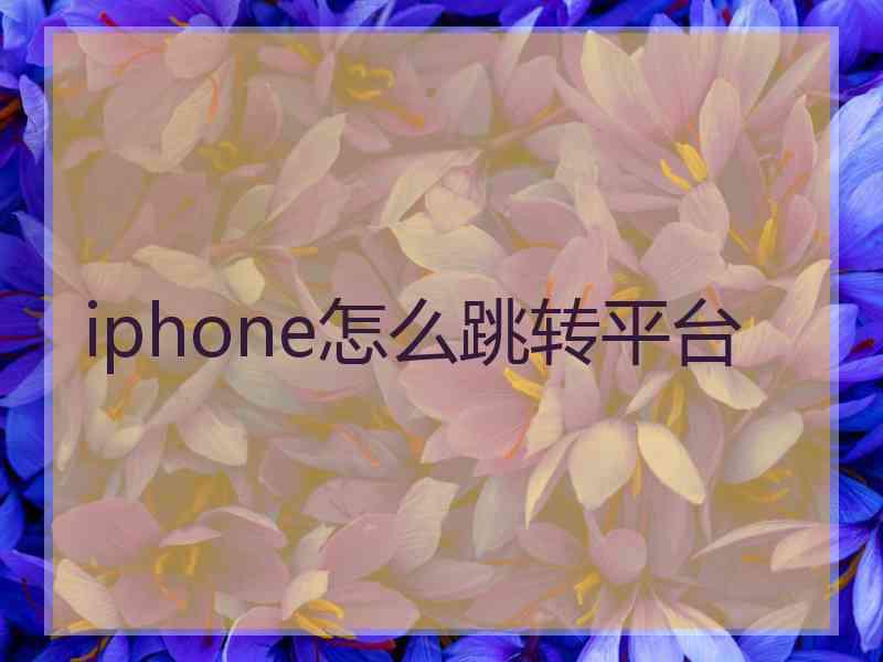 iphone怎么跳转平台
