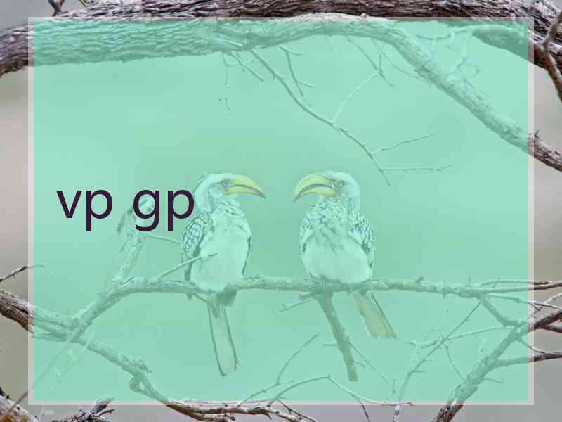vp gp