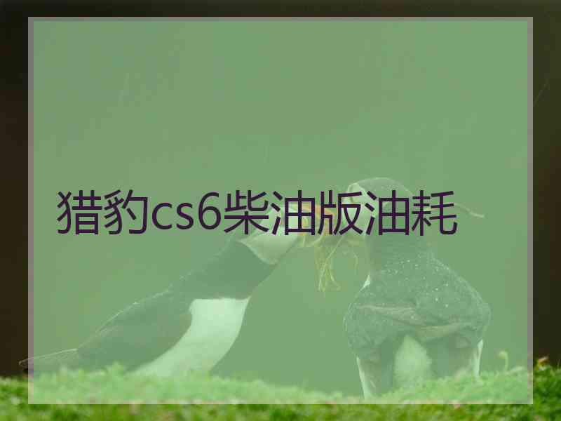 猎豹cs6柴油版油耗