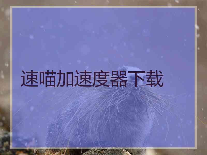 速喵加速度器下载