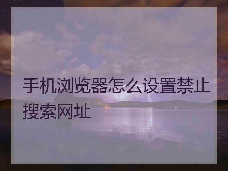 手机浏览器怎么设置禁止搜索网址