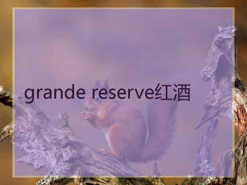 grande reserve红酒