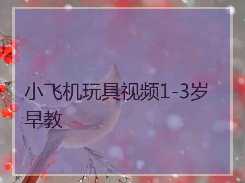 小飞机玩具视频1-3岁早教