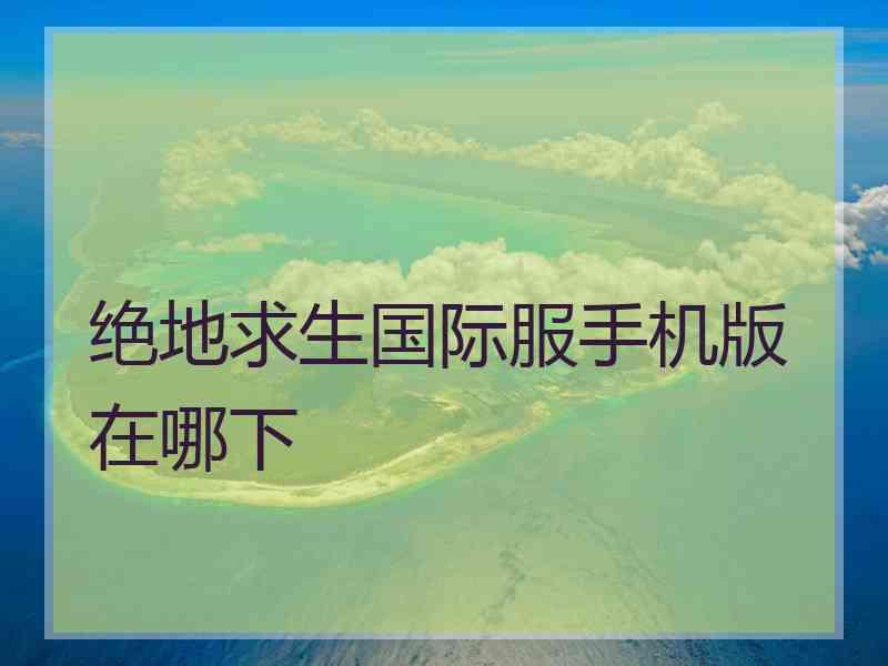 绝地求生国际服手机版在哪下