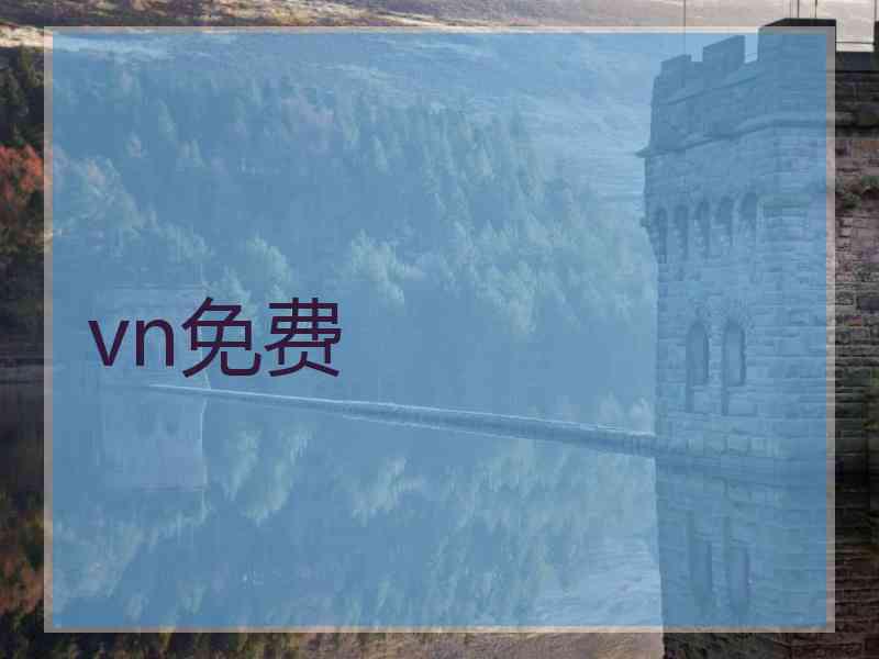 vn免费