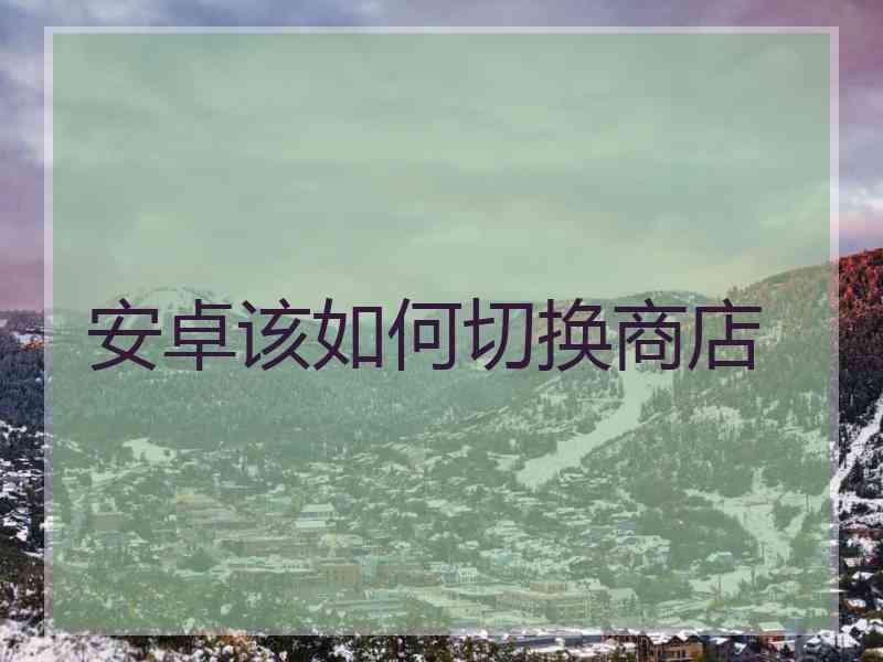 安卓该如何切换商店