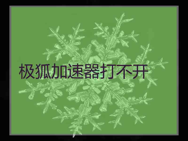 极狐加速器打不开