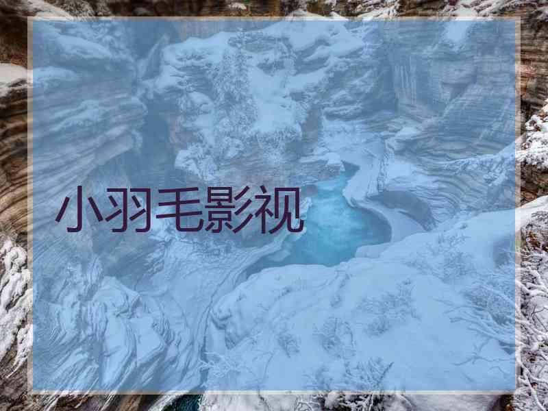小羽毛影视