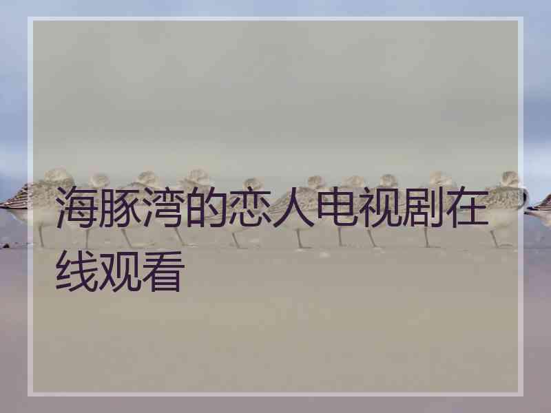 海豚湾的恋人电视剧在线观看