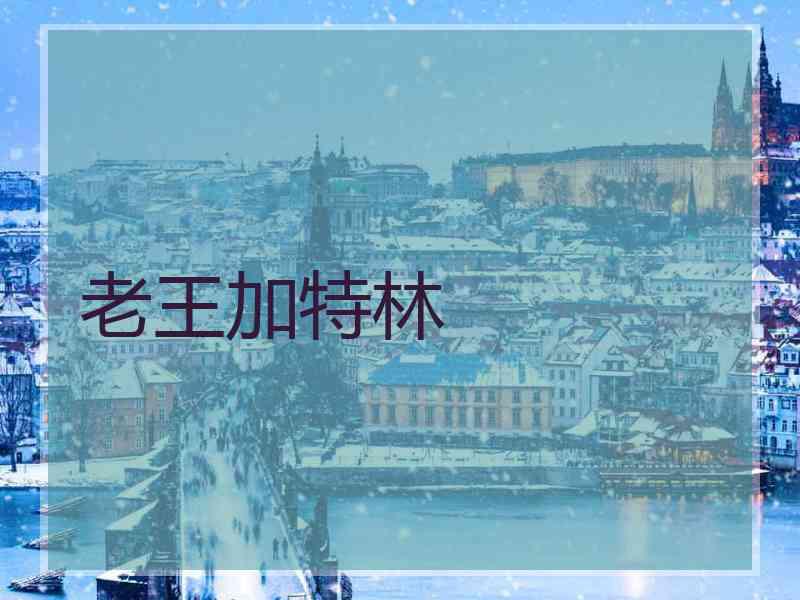 老王加特林