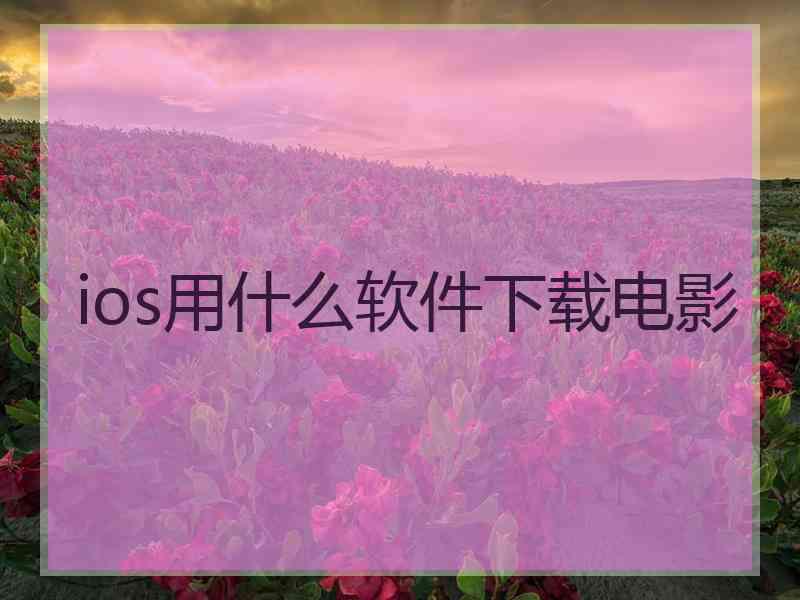 ios用什么软件下载电影
