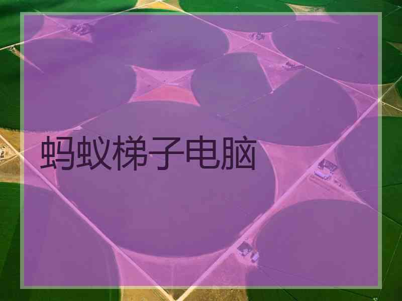 蚂蚁梯子电脑