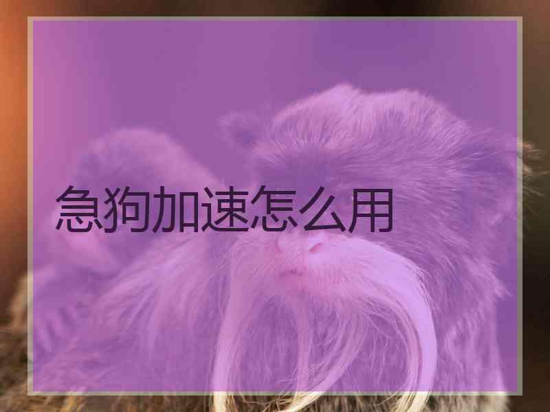 急狗加速怎么用