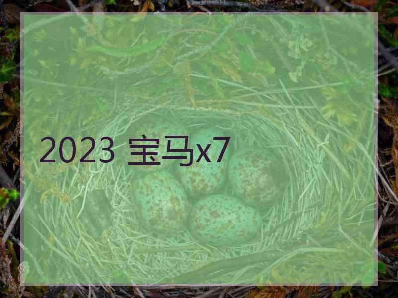 2023 宝马x7