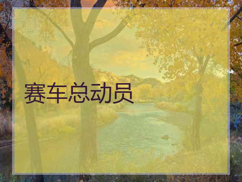 赛车总动员