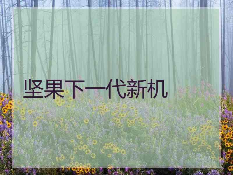 坚果下一代新机