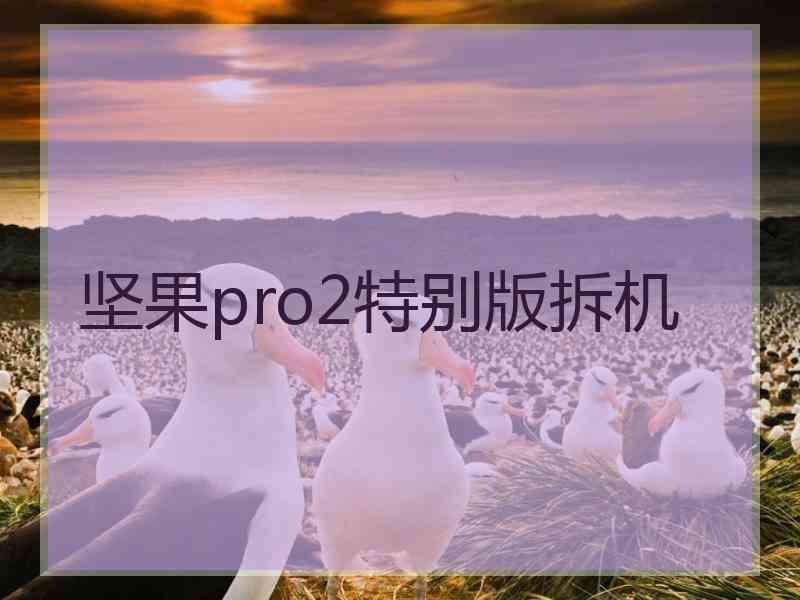坚果pro2特别版拆机