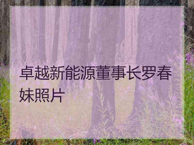 卓越新能源董事长罗春妹照片