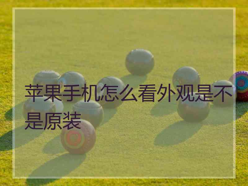 苹果手机怎么看外观是不是原装