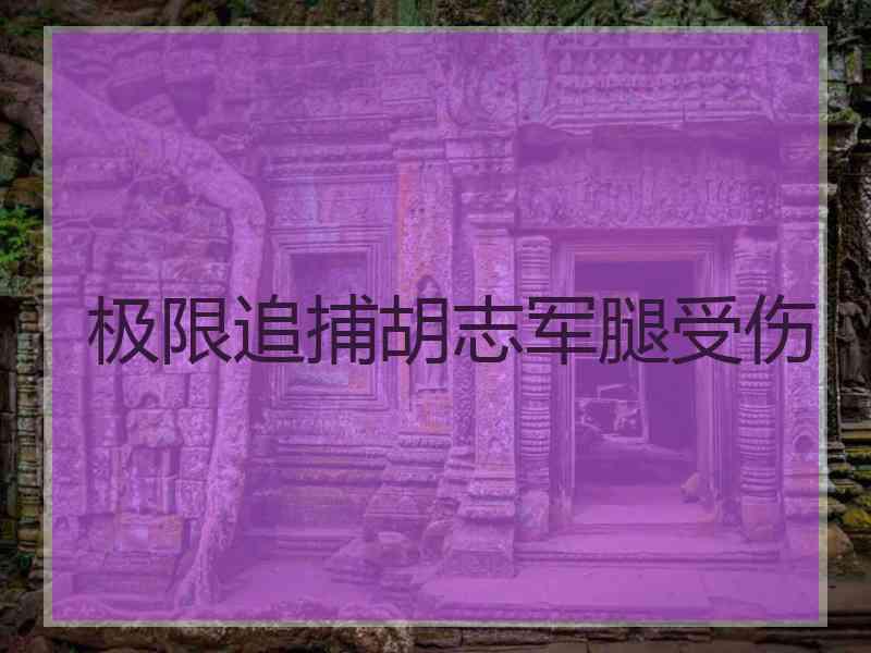 极限追捕胡志军腿受伤