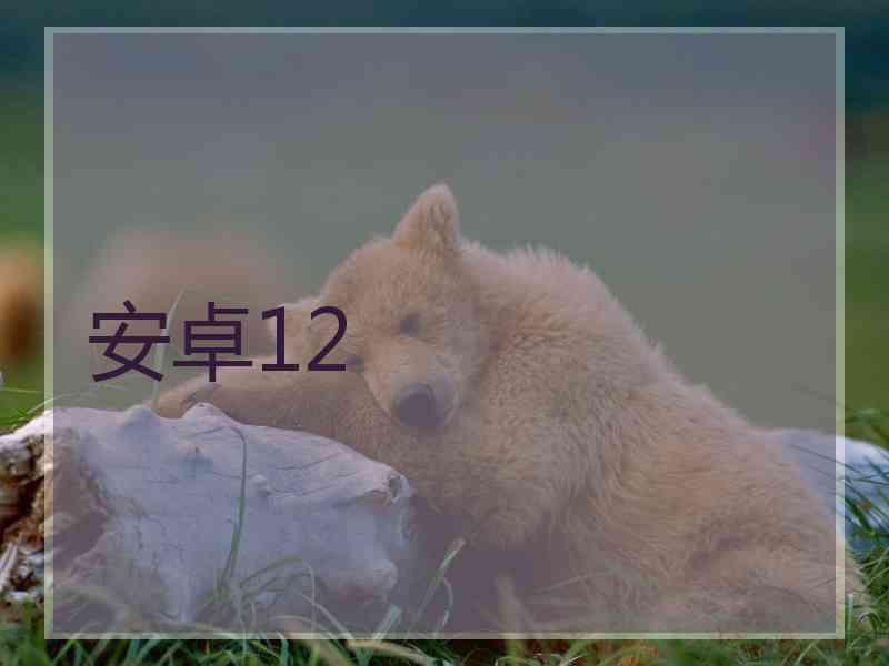 安卓12