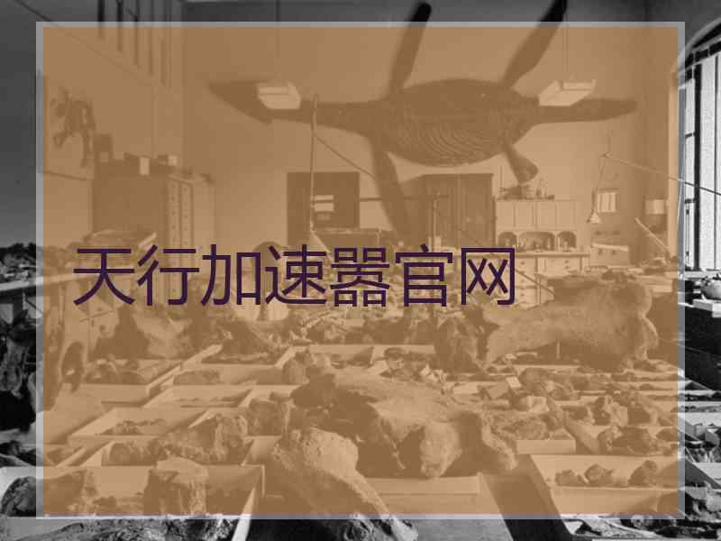 天行加速嚣官网