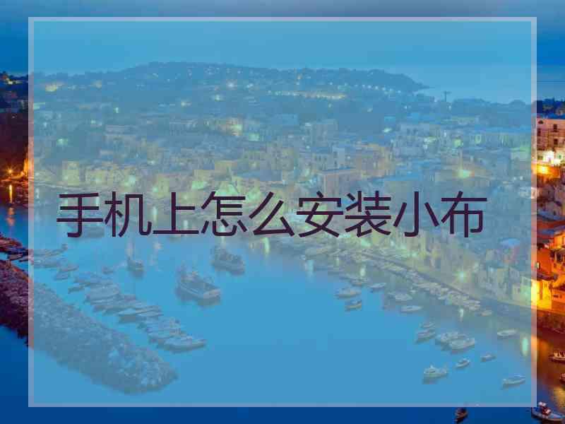 手机上怎么安装小布