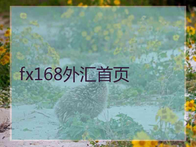 fx168外汇首页