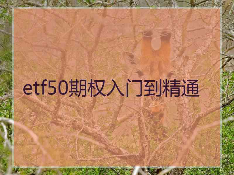 etf50期权入门到精通