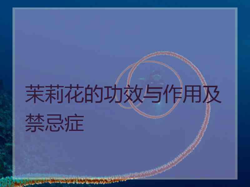 茉莉花的功效与作用及禁忌症