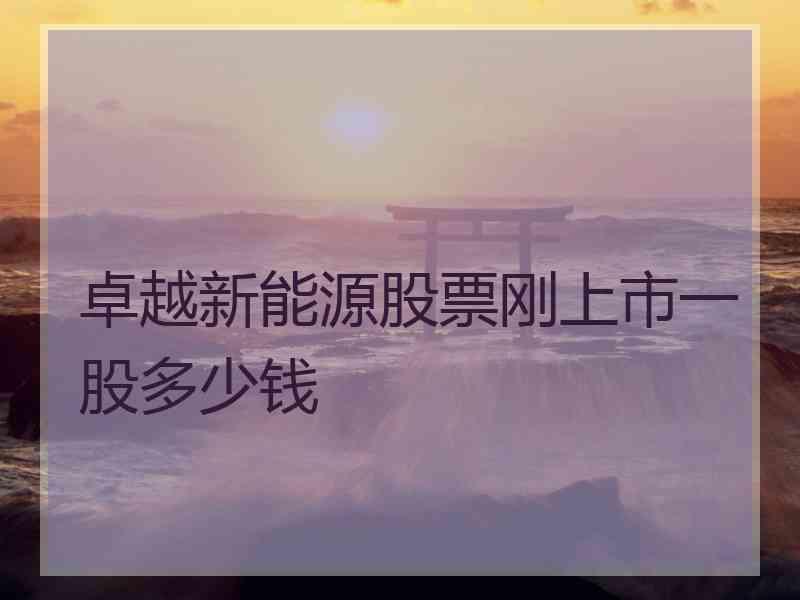 卓越新能源股票刚上市一股多少钱