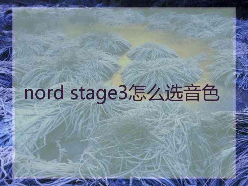 nord stage3怎么选音色