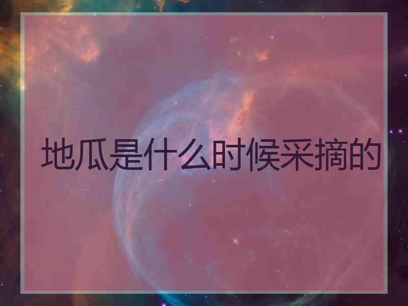 地瓜是什么时候采摘的