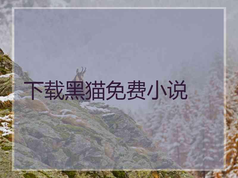 下载黑猫免费小说