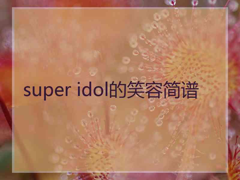 super idol的笑容简谱