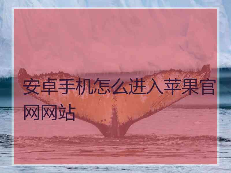 安卓手机怎么进入苹果官网网站