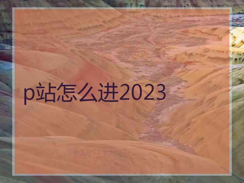 p站怎么进2023