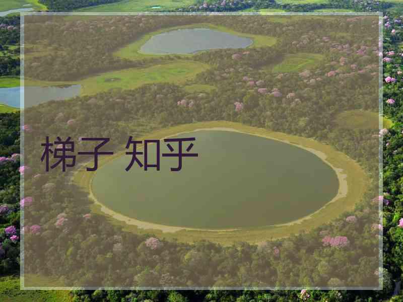 梯子 知乎