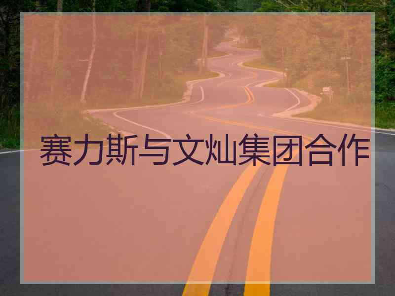 赛力斯与文灿集团合作