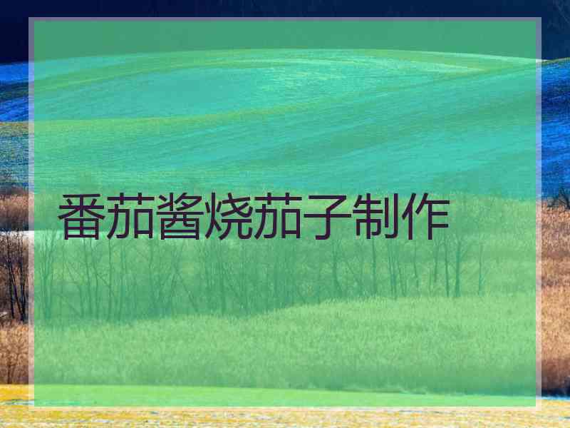 番茄酱烧茄子制作