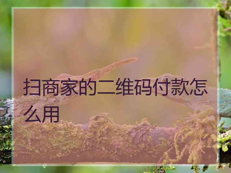 扫商家的二维码付款怎么用