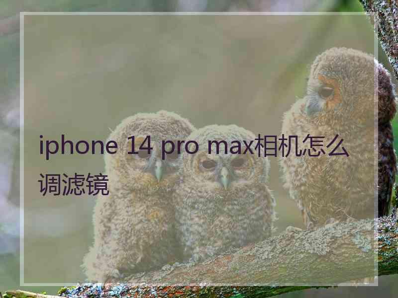 iphone 14 pro max相机怎么调滤镜