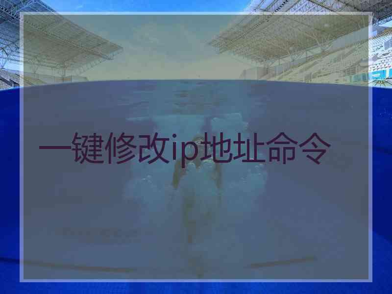 一键修改ip地址命令
