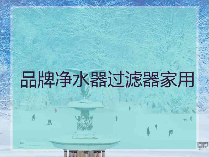 品牌净水器过滤器家用