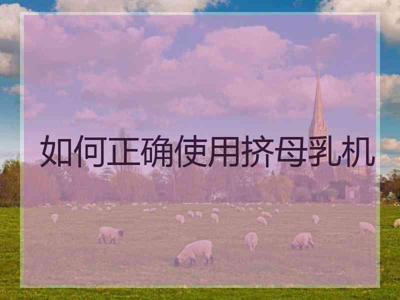 如何正确使用挤母乳机
