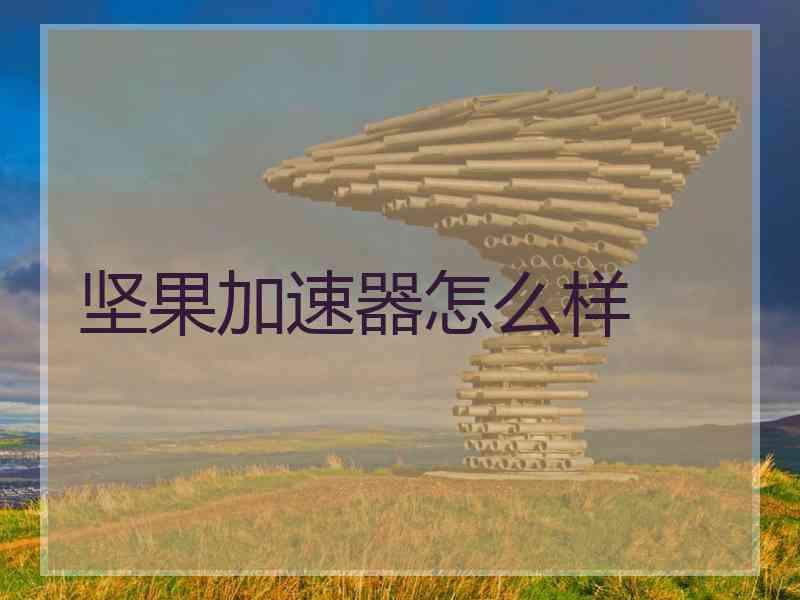 坚果加速器怎么样