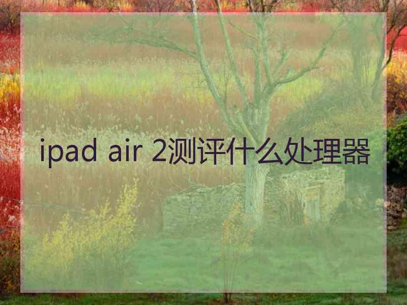ipad air 2测评什么处理器